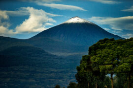 Rwanda Discover Tours