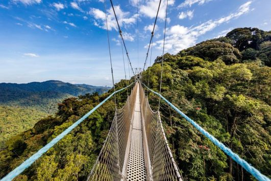 Nyungwe National Park
