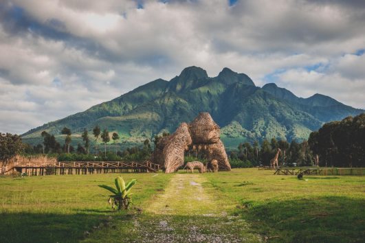 6days Gorilla trekking and Akagera National Park