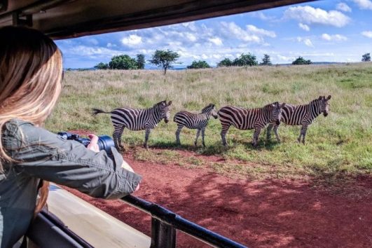 3DAYS TO VISIT AKAGERA NATIONAL PARK