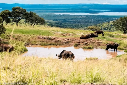 2days Akagera national park